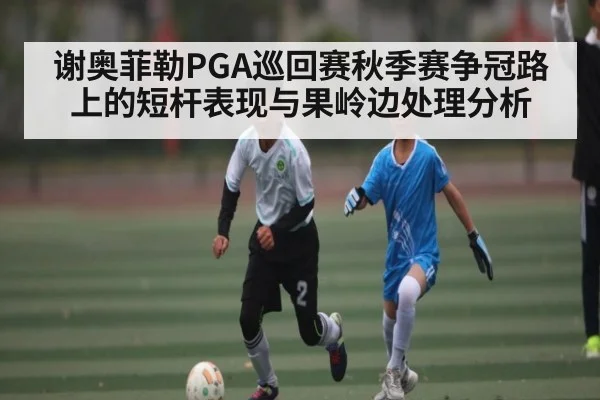 谢奥菲勒PGA巡回赛秋季赛争冠路上的短杆表现与果岭边处理分析