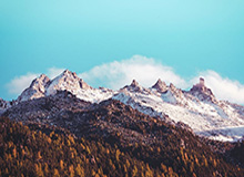 LPL高光时刻：Xiaoxu铁男两拉AD奠定团战胜局